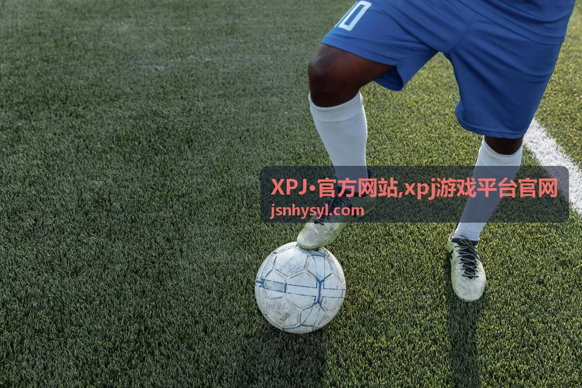 xpj游戏平台官网服务说明场景图